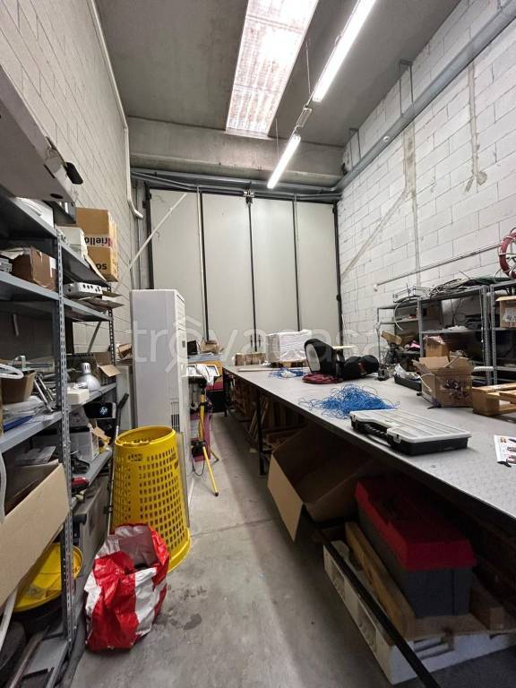 immagine annuncio 11 di 15