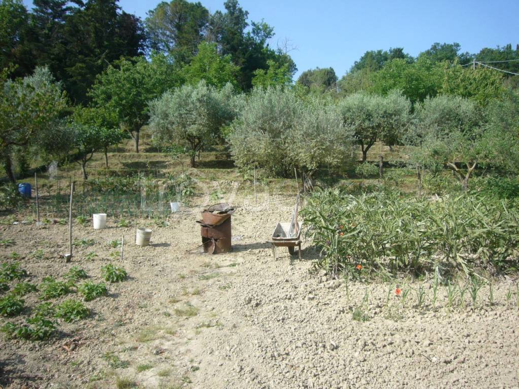 immagine annuncio 2 di 8