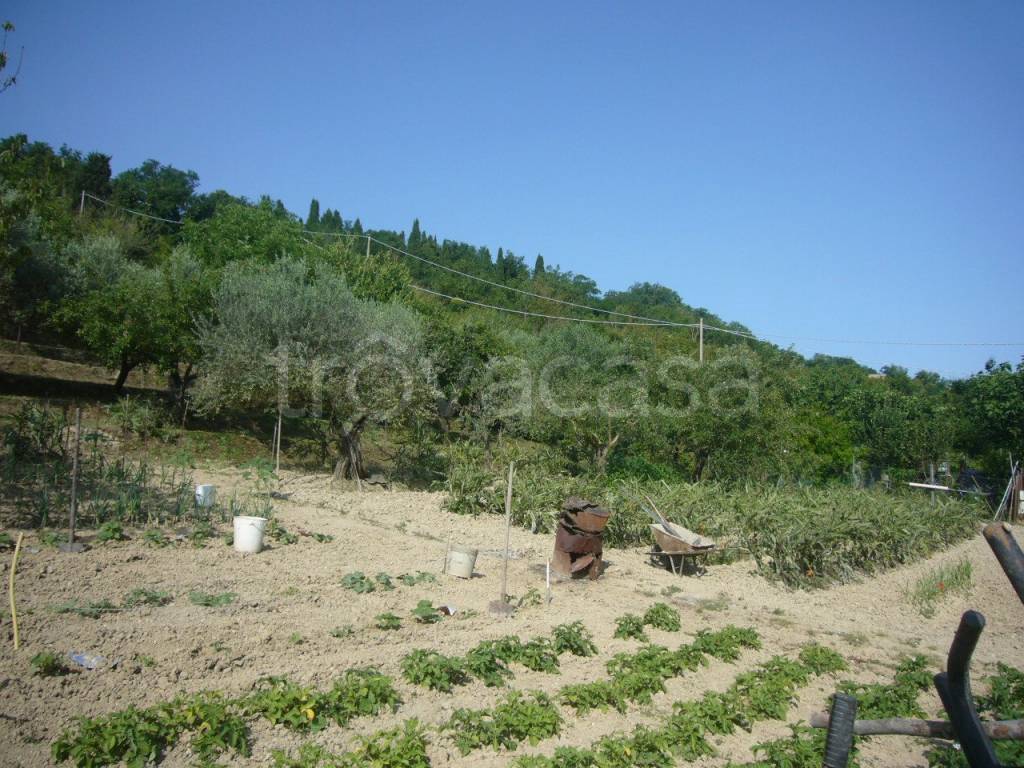 immagine annuncio 3 di 8