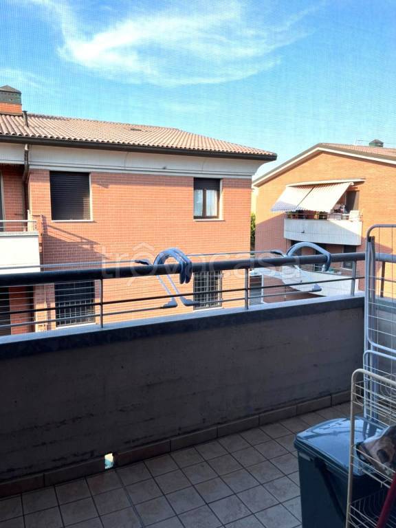 immagine annuncio 7 di 14