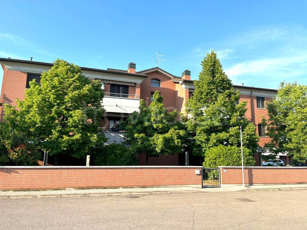 immagine annuncio 10 di 14