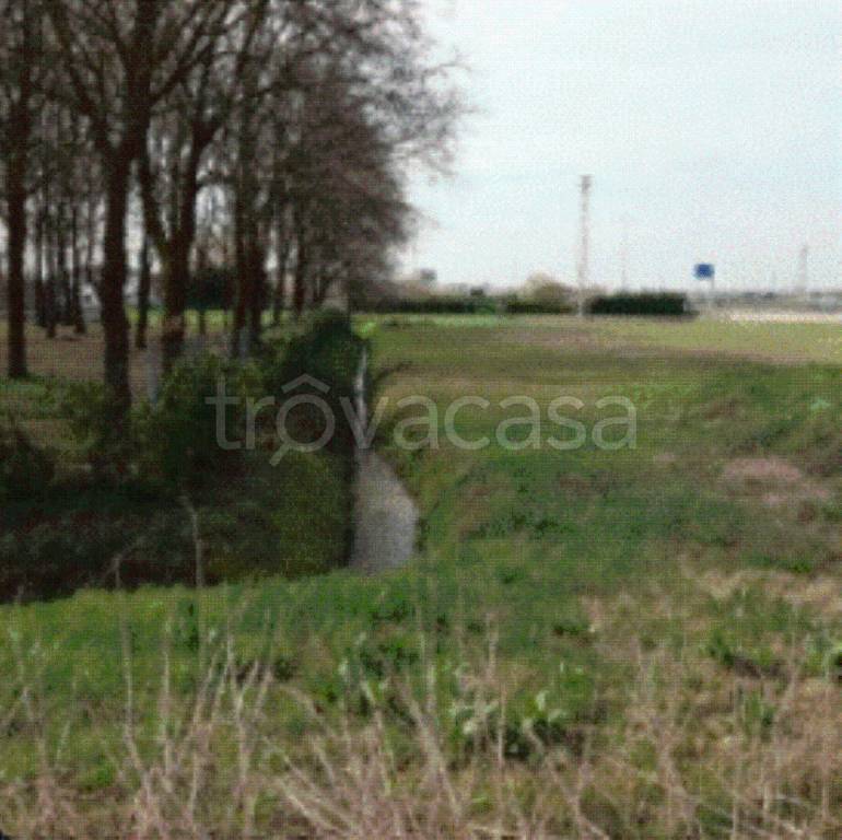 immagine annuncio 8 di 12