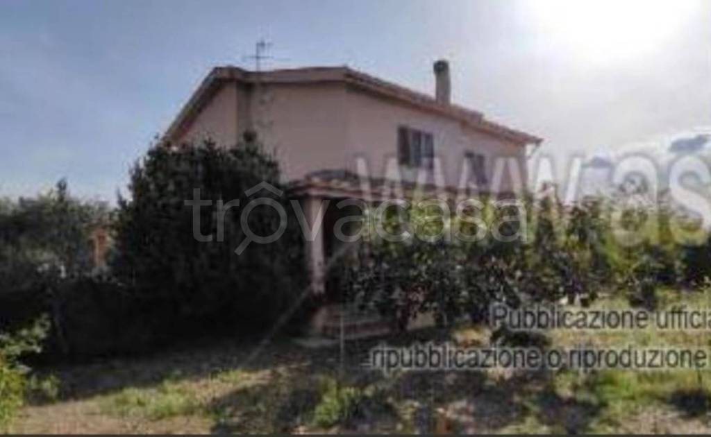 immagine annuncio 11 di 14