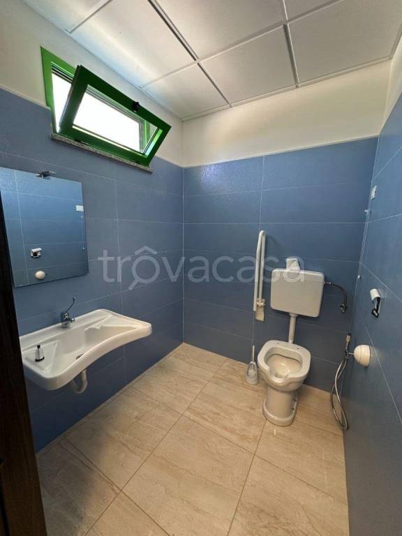 immagine annuncio 8 di 12