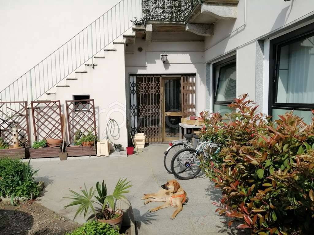 immagine annuncio 2 di 12