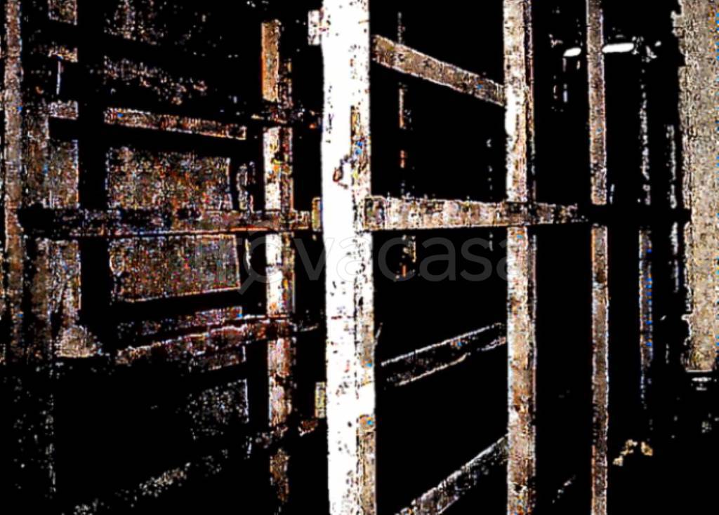 immagine annuncio 6 di 14
