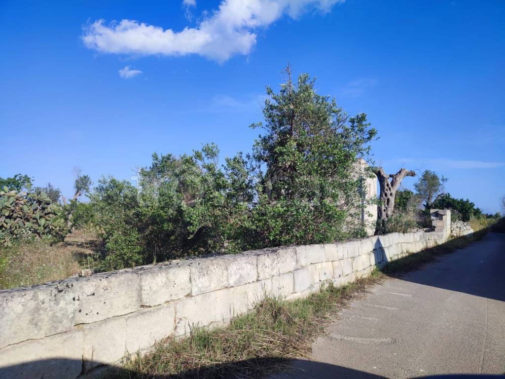 immagine annuncio 11 di 14
