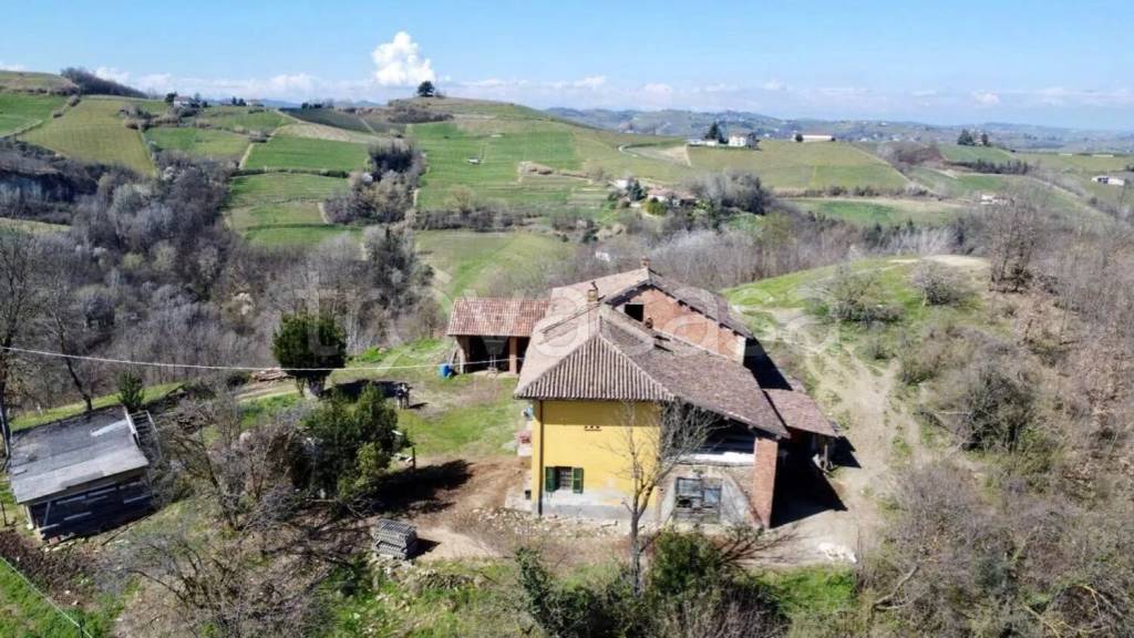 immagine annuncio 4 di 9