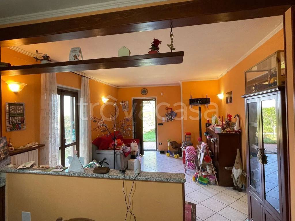 immagine annuncio 8 di 15
