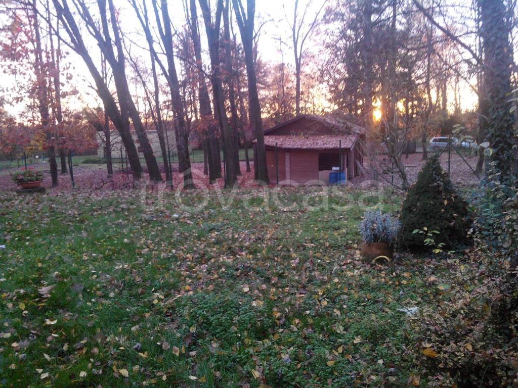 immagine annuncio 4 di 8
