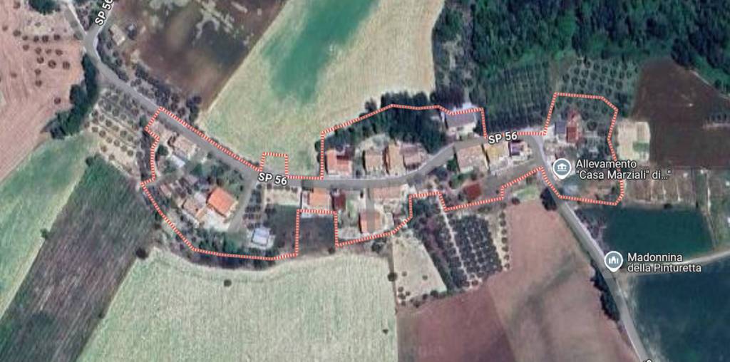 immagine annuncio 6 di 11