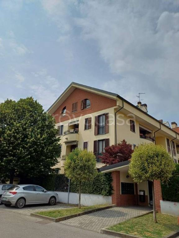 immagine annuncio 1 di 14