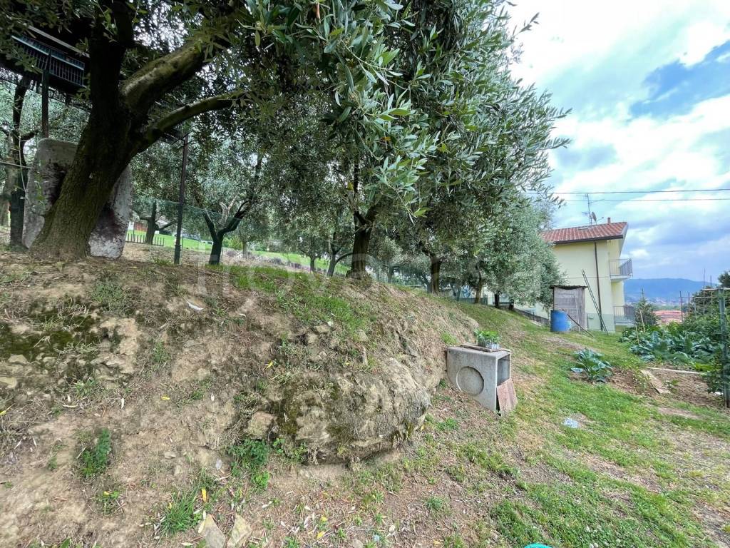 immagine annuncio 9 di 14