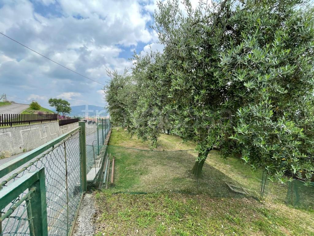 immagine annuncio 12 di 14