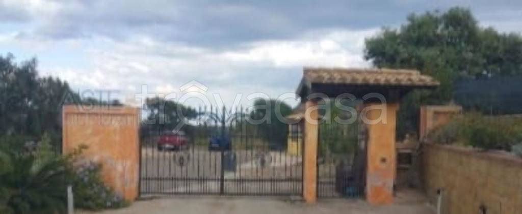immagine annuncio 11 di 14