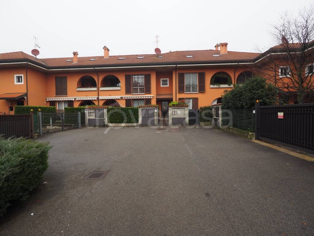 immagine annuncio 1 di 15