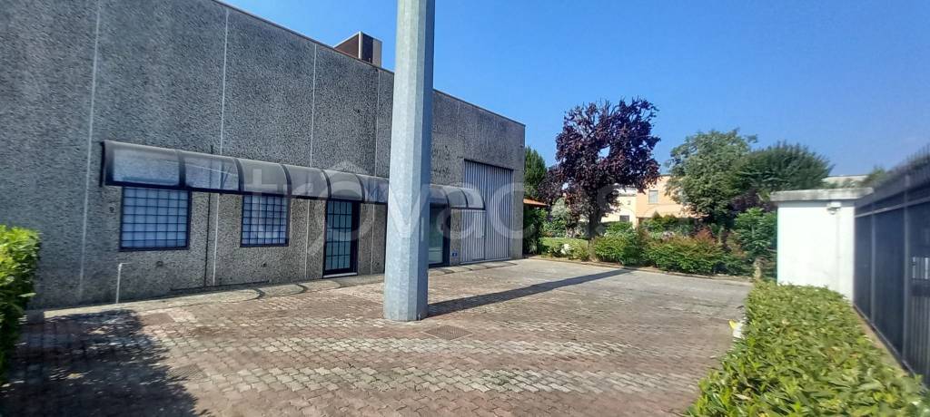 immagine annuncio 5 di 15