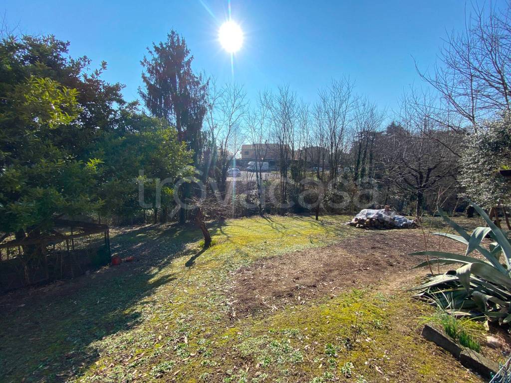 immagine annuncio 11 di 12