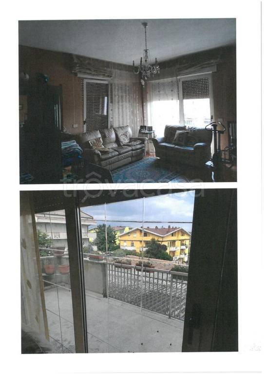 immagine annuncio 5 di 12