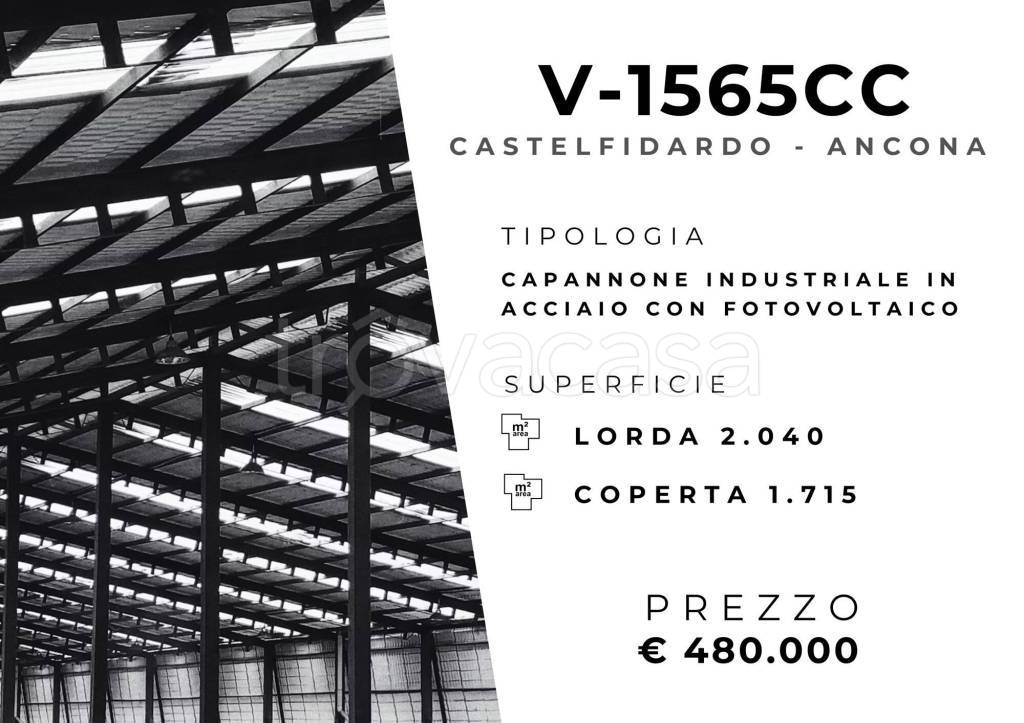 immagine annuncio 1 di 11