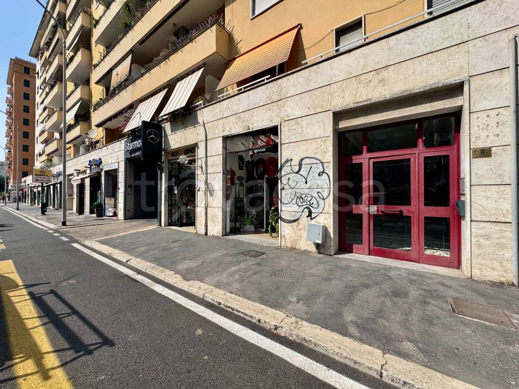 immagine annuncio 10 di 14