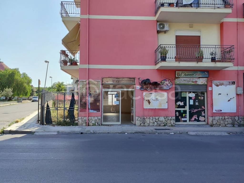immagine annuncio 1 di 14