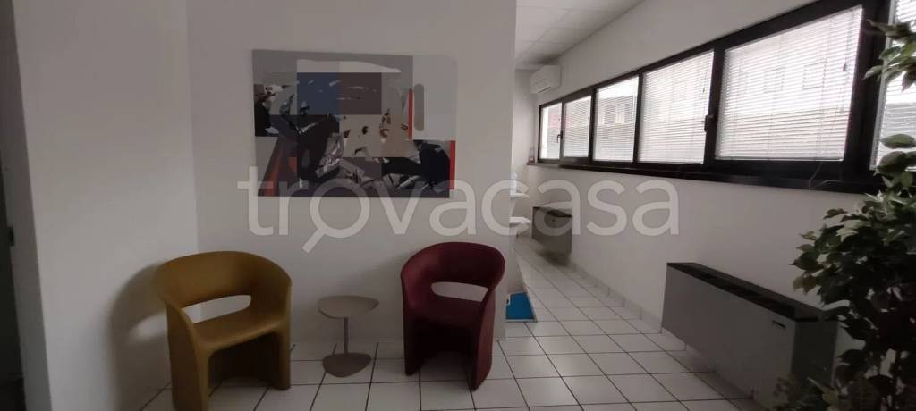 immagine annuncio 7 di 12