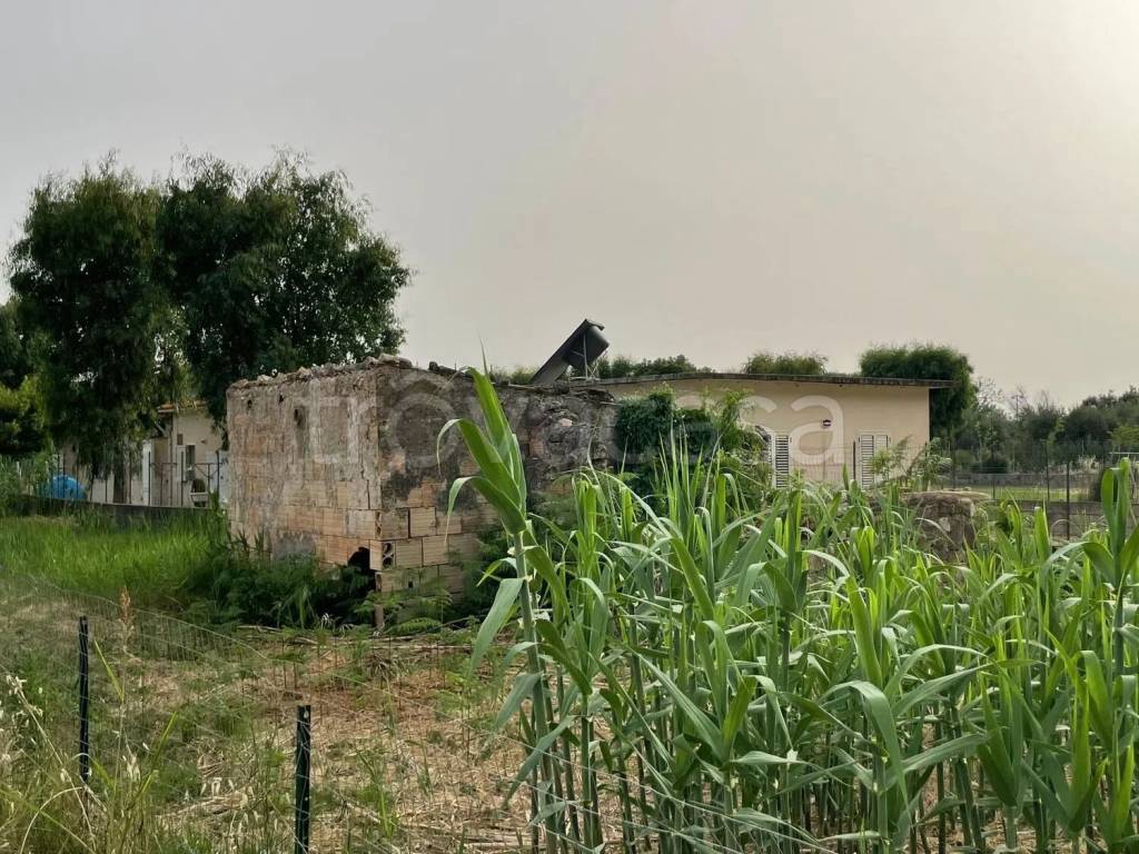 immagine annuncio 3 di 12