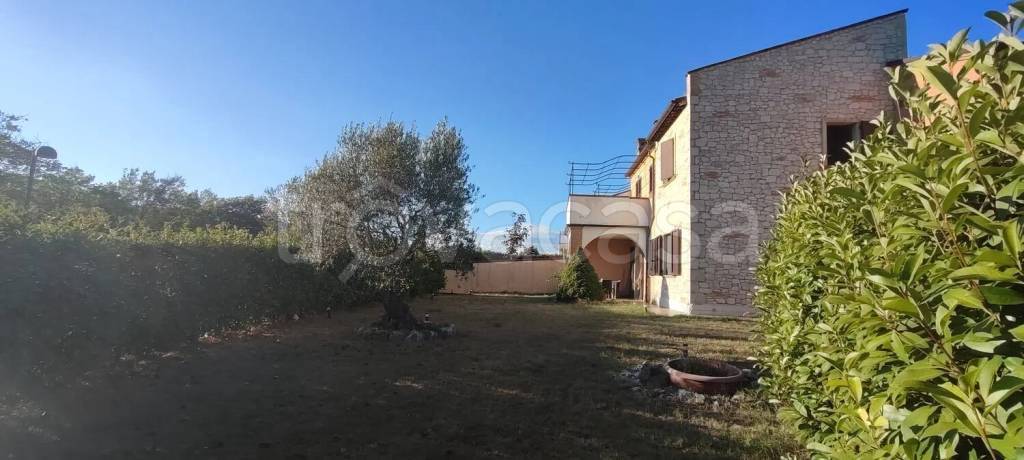 immagine annuncio 2 di 14