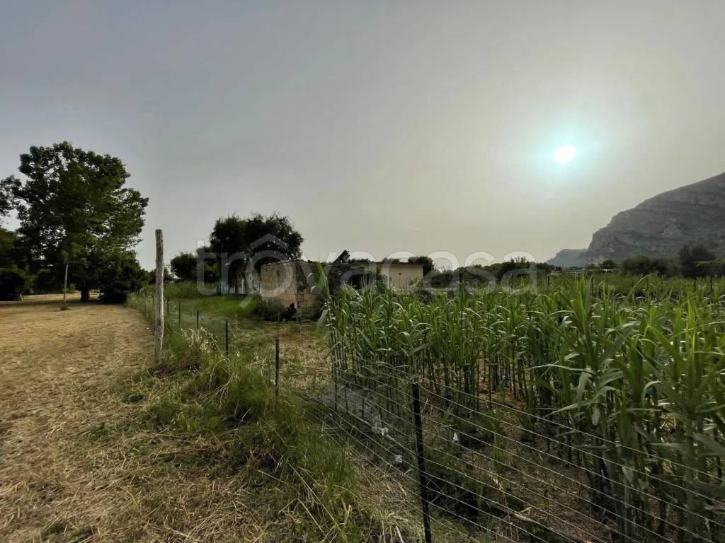 immagine annuncio 9 di 12