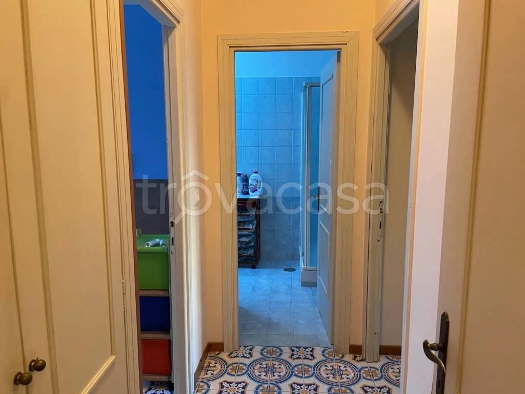 immagine annuncio 9 di 14