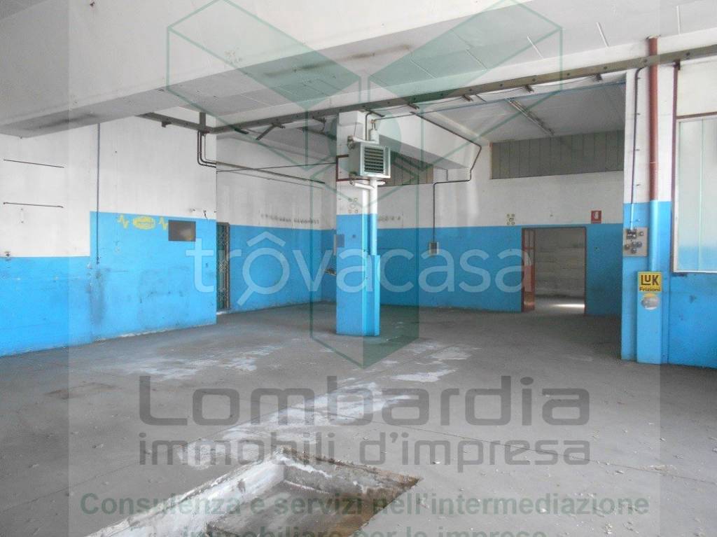 immagine annuncio 7 di 10