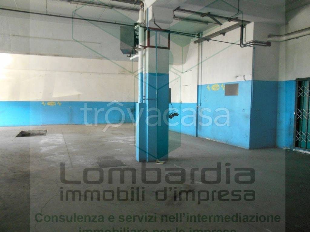 immagine annuncio 8 di 10