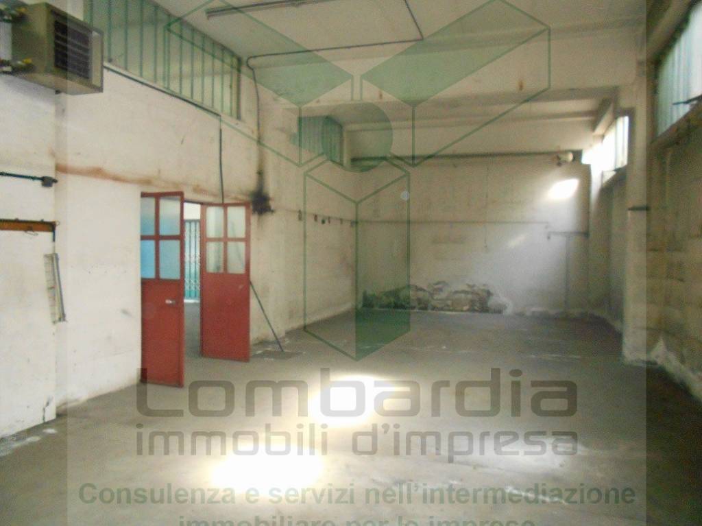 immagine annuncio 9 di 10