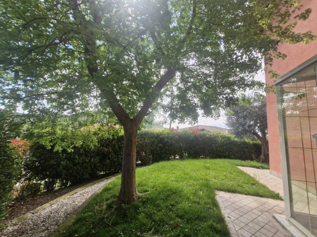 immagine annuncio 8 di 11