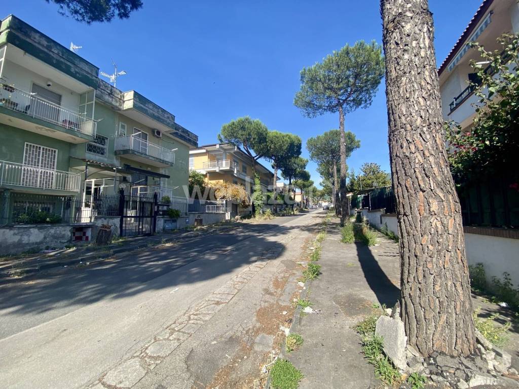 immagine annuncio 2 di 6