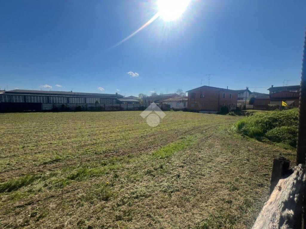 immagine annuncio 2 di 3