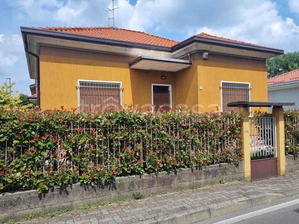 immagine annuncio 2 di 15