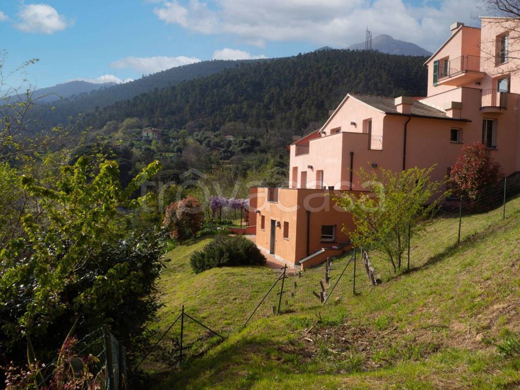 immagine annuncio 2 di 11