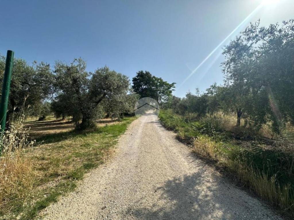 immagine annuncio 11 di 13