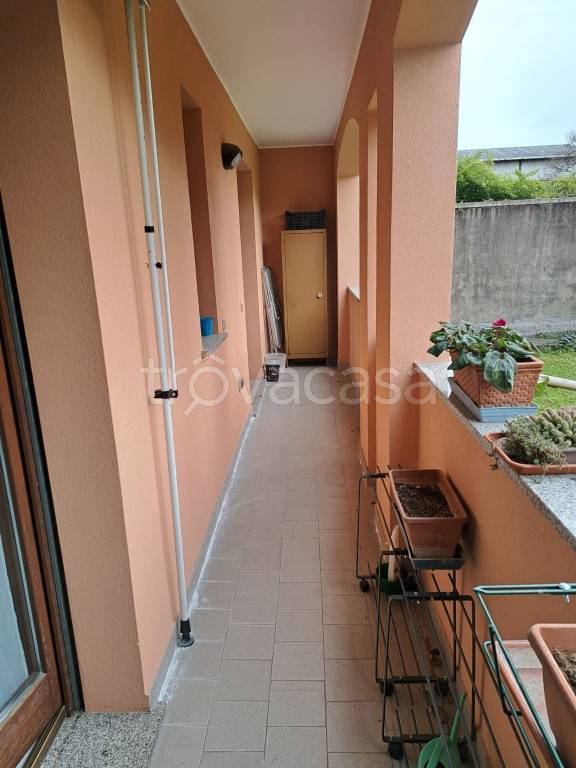 immagine annuncio 5 di 12