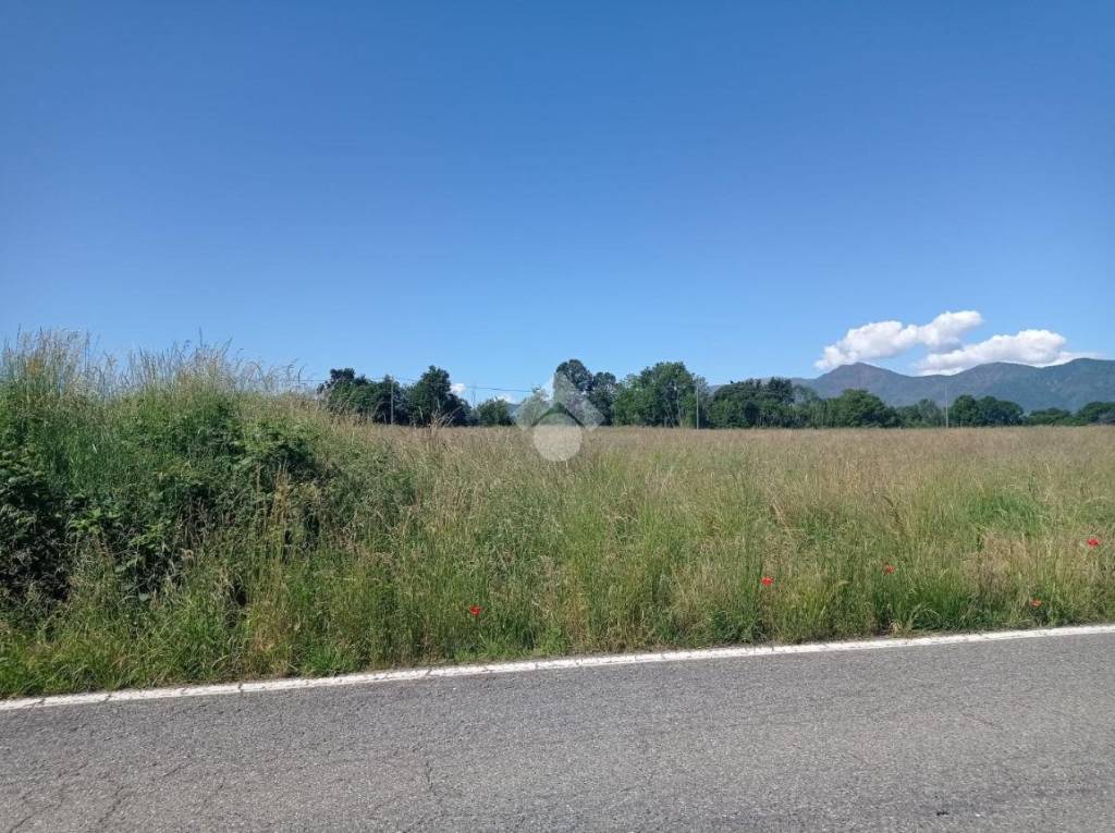 immagine annuncio 1 di 9