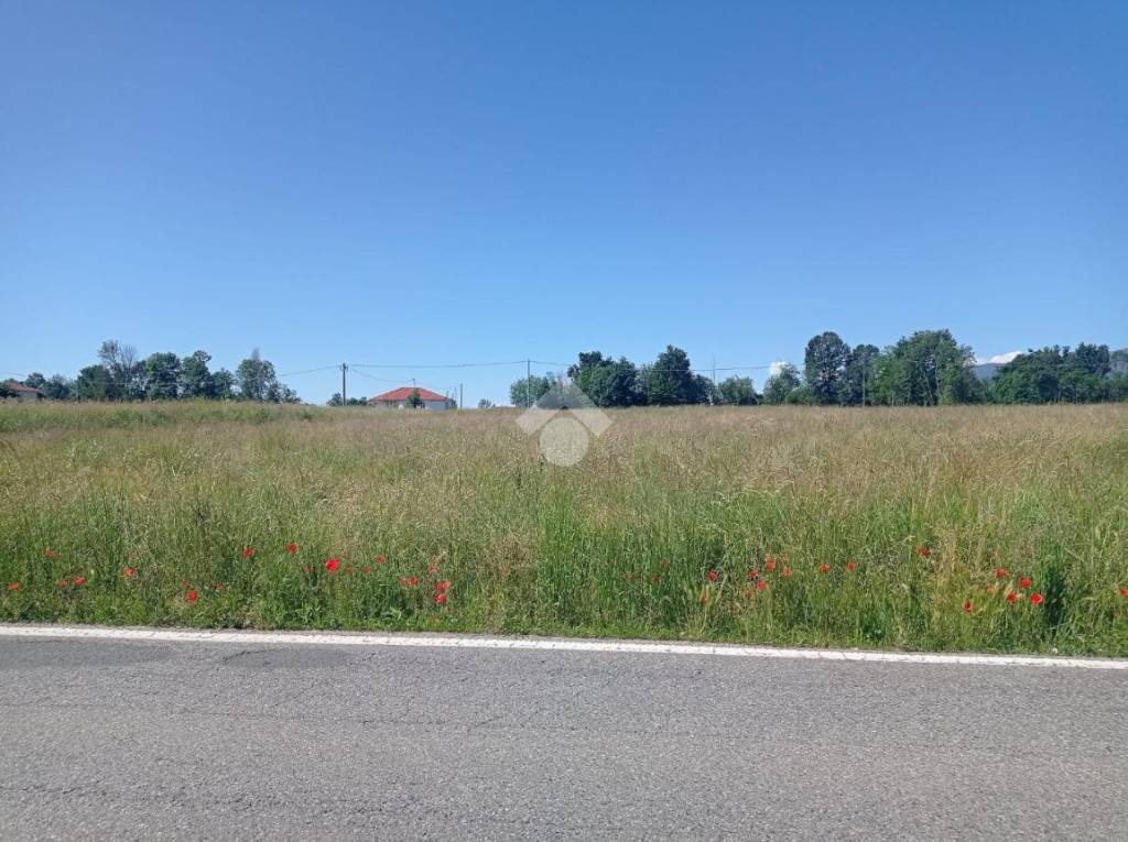 immagine annuncio 8 di 9