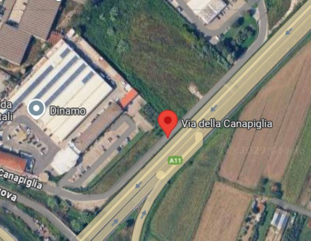 immagine annuncio 2 di 11