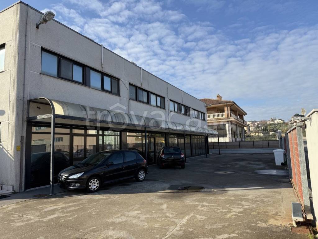 immagine annuncio 9 di 11