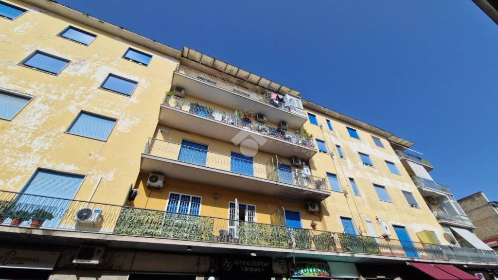 immagine annuncio 12 di 13