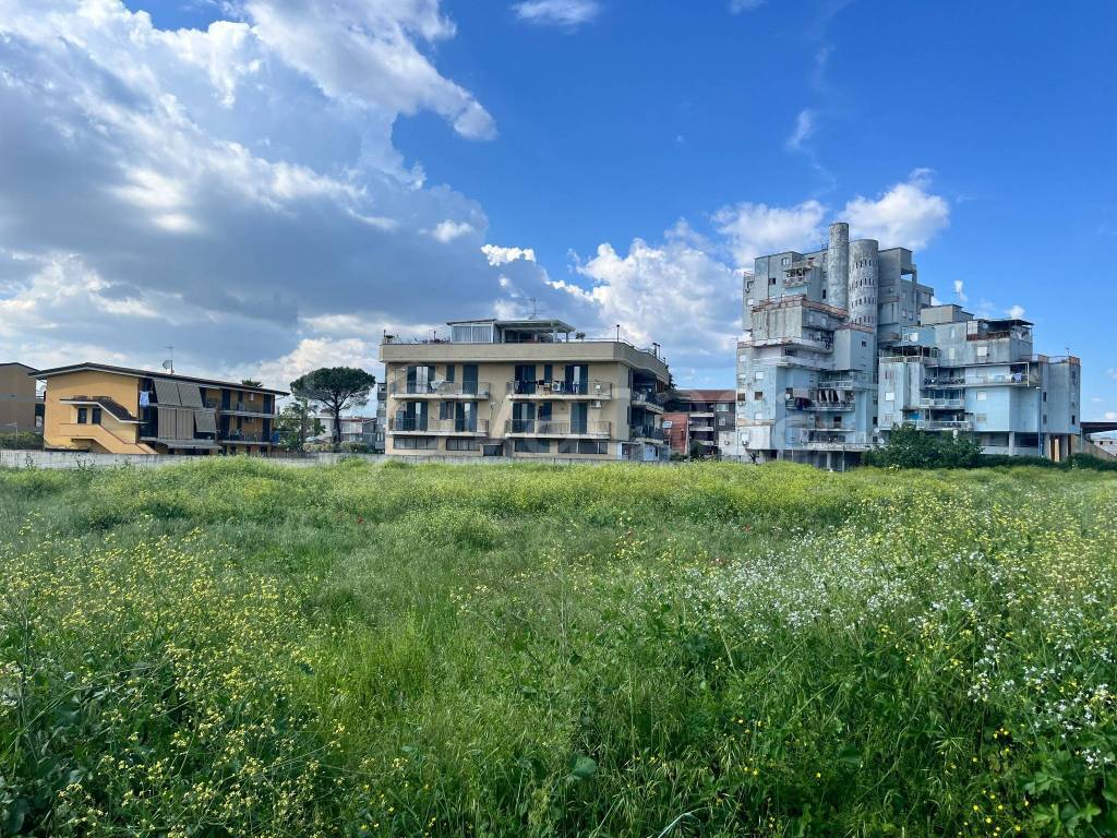 immagine annuncio 6 di 14