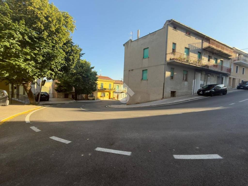 immagine annuncio 12 di 13