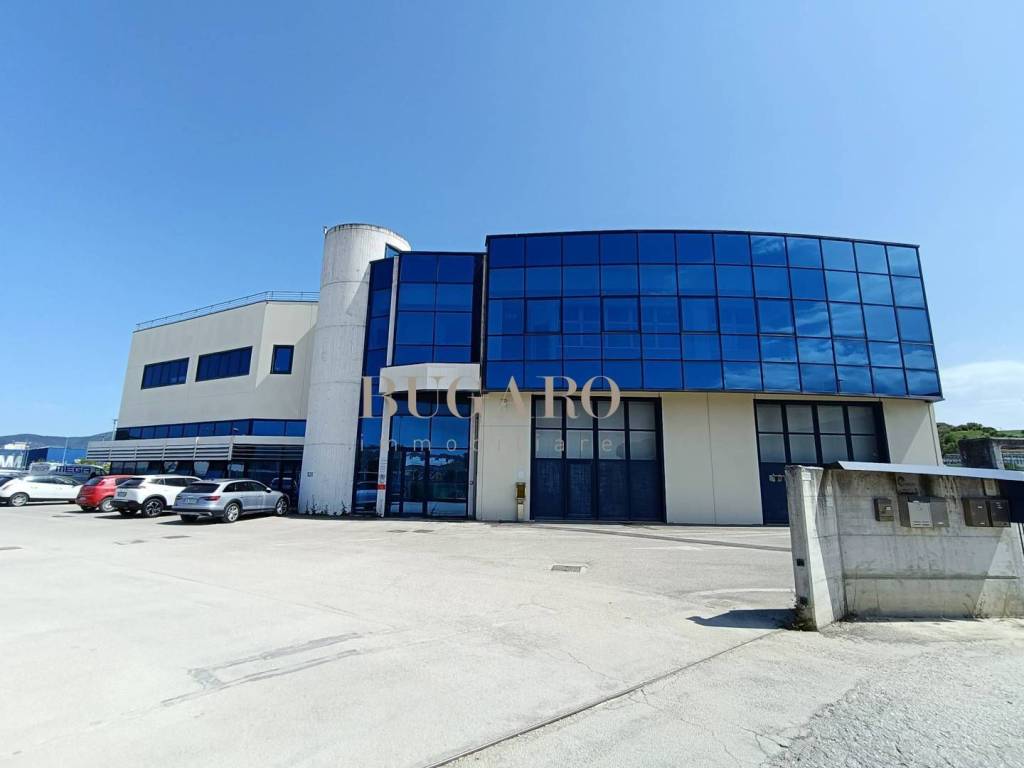 immagine annuncio 1 di 6