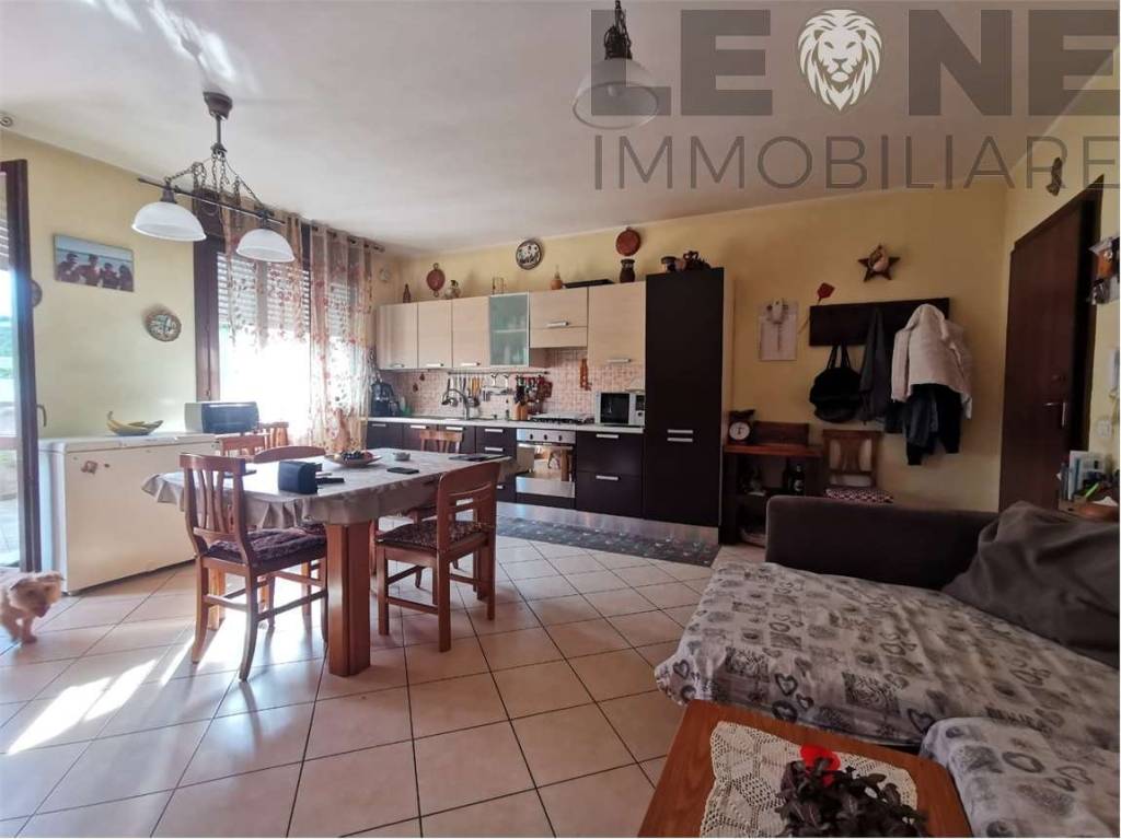 immagine annuncio 2 di 11